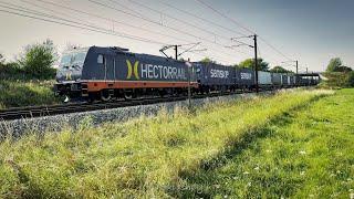 Freight train: Hector Rail 241.009 + trailers. At Slagelse. Denmark.