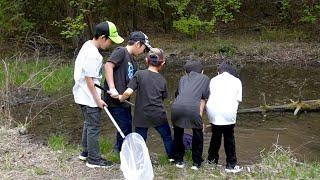 小学生が森で見つけたもの