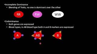 AP Biology Unit 5 Heredity Complete Review