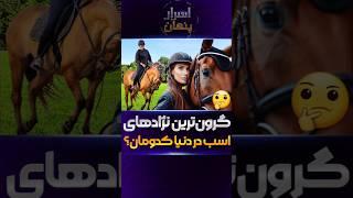 گران‌ترین و لوکس‌ترین نژادهای اسب جهان! شماره ۱ هوش از سرتون می‌بره! #فکت #دانستنی #اسب #top10 #لوکس
