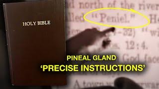 Biblical Texts Give Precise Instructions on the Pineal Gland...