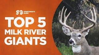 Top 5 Giants Bucks | Milk River Whitetails | Monster Buck Moments Presented by Sportsman's Guide