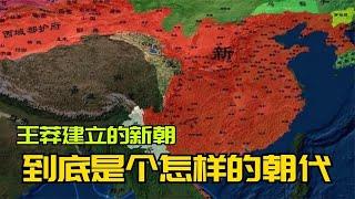 一口气看懂新朝历史！王莽在位十五年，期间历史上都发生了什么？