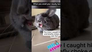 #funny #heelkevin #shortfeed #viralvideo #reaction #ytshorts #yt #youtubeshorts #prank #jumpscare