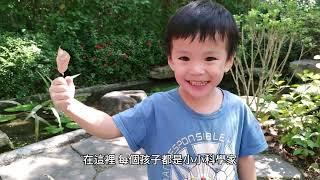 葳肯幼兒園教育理念-—從小栽種綠意：生態教育在幼兒學習中的不可或缺角色