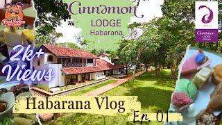 Cinnamon Lodge Habarana Full Review Part 01 (සුපිරිම හෝටලයක දවසක්) | Food Seeker SriLanka