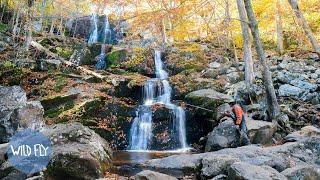 469-Mile Fly Fishing Roadtrip Across the Blue Ridge Parkway