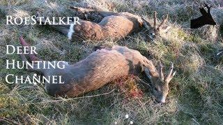 RoeStalker - UK deer hunting channel