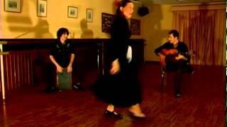 "Buleria" - flamenco from Spain #2