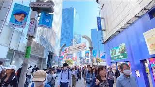 Healing Flute Music "Tokyo and It's Beautiful People'