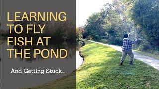 How To Fly Fish And Where To Go After You Learn To Cast