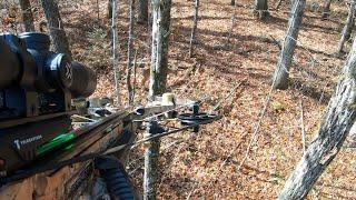 Barnett Crossbow Hunting 2023