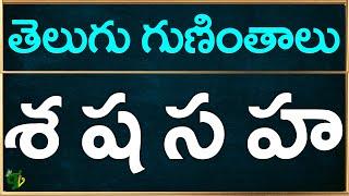 Se Sha Sa Ha guninthalu telugu | శ ష స హ  గుణింతాలు |How to write Telugu guninthalu@TeluguVanam