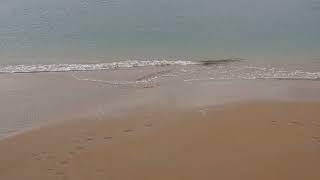 Playas de Cantabria (España)