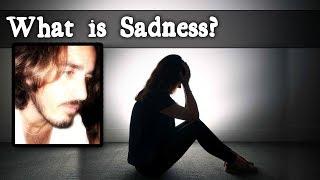 What is Sadness?