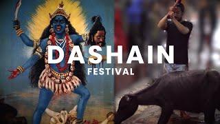 ANIMAL SACRIFICE FESTIVAL in Nepal - What is Dashain?