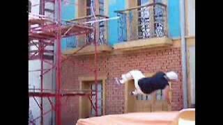 Waltinho Dublê ( Stunt ) - Video Show Especial de Fim de Ano