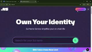 What is Sui Name Service (NS) Token Coin | Review About NS Token