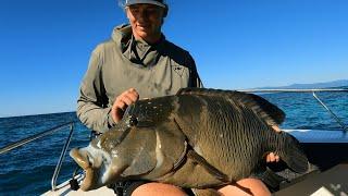 INSANE Fishing Inside of a BLUE HOLE!!!