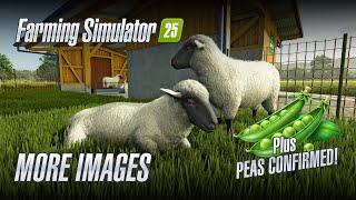 Farming Simulator 25 - New Screenshots and PEAS confirmed!