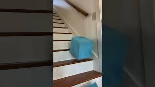 Pov: you’re trying to get a box upstairs but it wants to go sledding