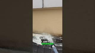 Fall Cleaning Magic: Soft Washing Dormers Tutorial