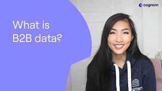 What is B2B data?