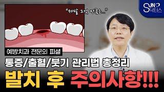 발치 후 주의사항부터 통증 출혈 붓기 관리법까지 총정리!
