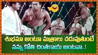 నన్ను కోతి చింతకాయ అంటవా..! Brahmanandam & Babu Mohan Hilarious Comedy | TeluguOne Comedy