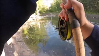 salmon centerpin fishing