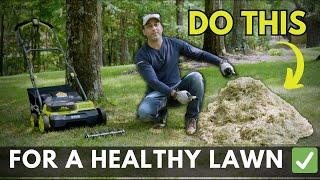 How to Dethatch Your Lawn (Tips for a Thicker & Healthier Lawn)