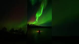 Have you seen aurora borealis live view?Ranua, Finland Real time footage.#northernlights #lapland