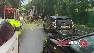 На Воропаева упавшее на дорогу дерево спровоцировало ДТП