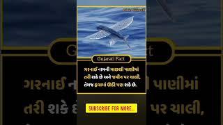 Gujarati Fact | Amazing fact | Gujarati facts | gajab fact | fact in Gujarati | gajab facts #fact