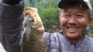 Rod&Line Fishing Series No 7: A Date With Chinese Mahseer Thailand Part 2