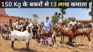 घर बैठे Heavy Weight Goat तैयार कर करते हैं लाखों की कमाई | 150 किलो के बकरे | Goat Farming