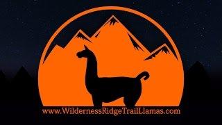 Wilderness Ridge Trail Llamas Capitol Reef