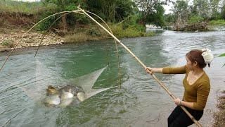 Fishing Exciting | Traditional Fishing With Fishing Nets, Using Good Bait - Catch a Lots Of Fish