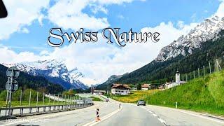 eye catching view of Swiss Nature.