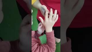 контактный зоопарк в Иркутске. Геккон