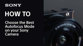 Choosing the Best Autofocus Modes on your Sony Camera