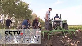 《我爱发明》 甜园能手 20180618 | CCTV科教