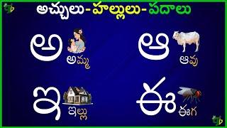 తెలుగు వర్ణమాల | అ - అమ్మ ఆ - ఆవు #achuluhallulu | Telugu varnamala aksharalu aa amma padalu telugu