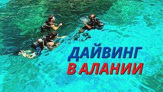 ДАЙВИНГ в ТУРЦИИ АЛАНИЯ - ОТДЫХ в ТУРЦИИ ПОДВОДНОЕ ВИДЕО ЦЕНЫ 2 ПОГРУЖЕНИЯ ALANYA SCUBA