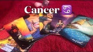 Cancer love tarot reading ~ Nov 5th ~ an unexpected reunion