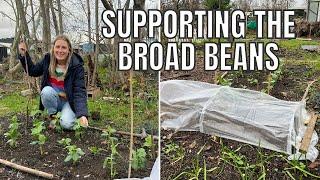 DECEMBER ALLOTMENT WORK / ALLOTMENT GARDENING UK