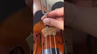 ASMR #violin