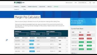 Forex Margin Calculator:  How much money do you need in your trading account??