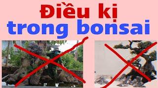 Điều kị trong bonsai cây cảnh