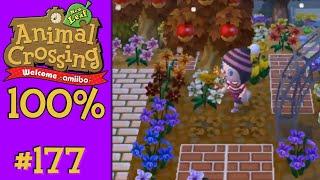 Animal Crossing: New Leaf 100% - #177: Final Preparations...